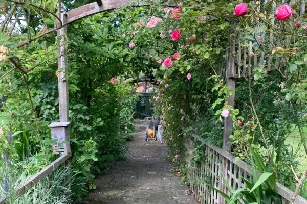 A wooden canopy over a walkway, with trellis fencing and flowers growing above