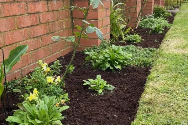 A tidy border with plants and flowers next to a red brick wall