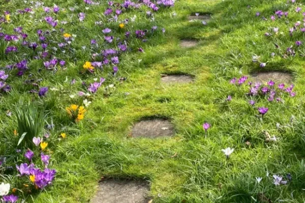 Flowers planted into a lawn