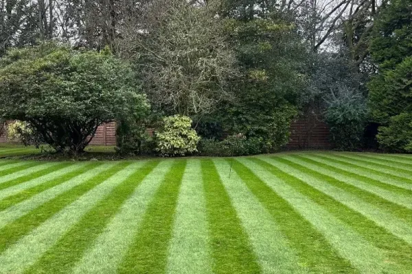 A large striped lawn with a mixture of trees and shrubs in the background