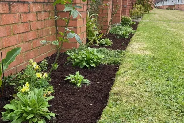 A tidy border with plants and flowers growing from dark soil with a red brick wall to the left