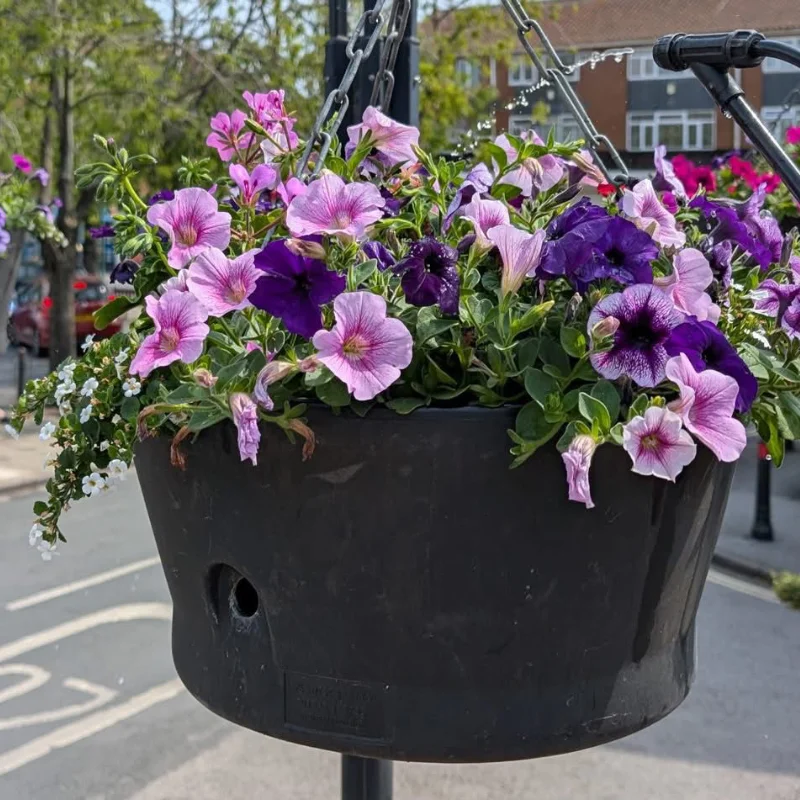 Flower planter in Cottingham
