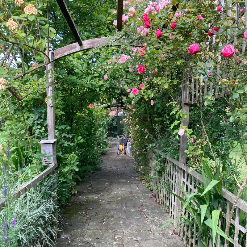 A wooden canopy over a walkway, with trellis fencing and flowers growing above