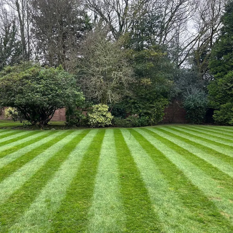 A large striped lawn with a mixture of trees and shrubs in the background